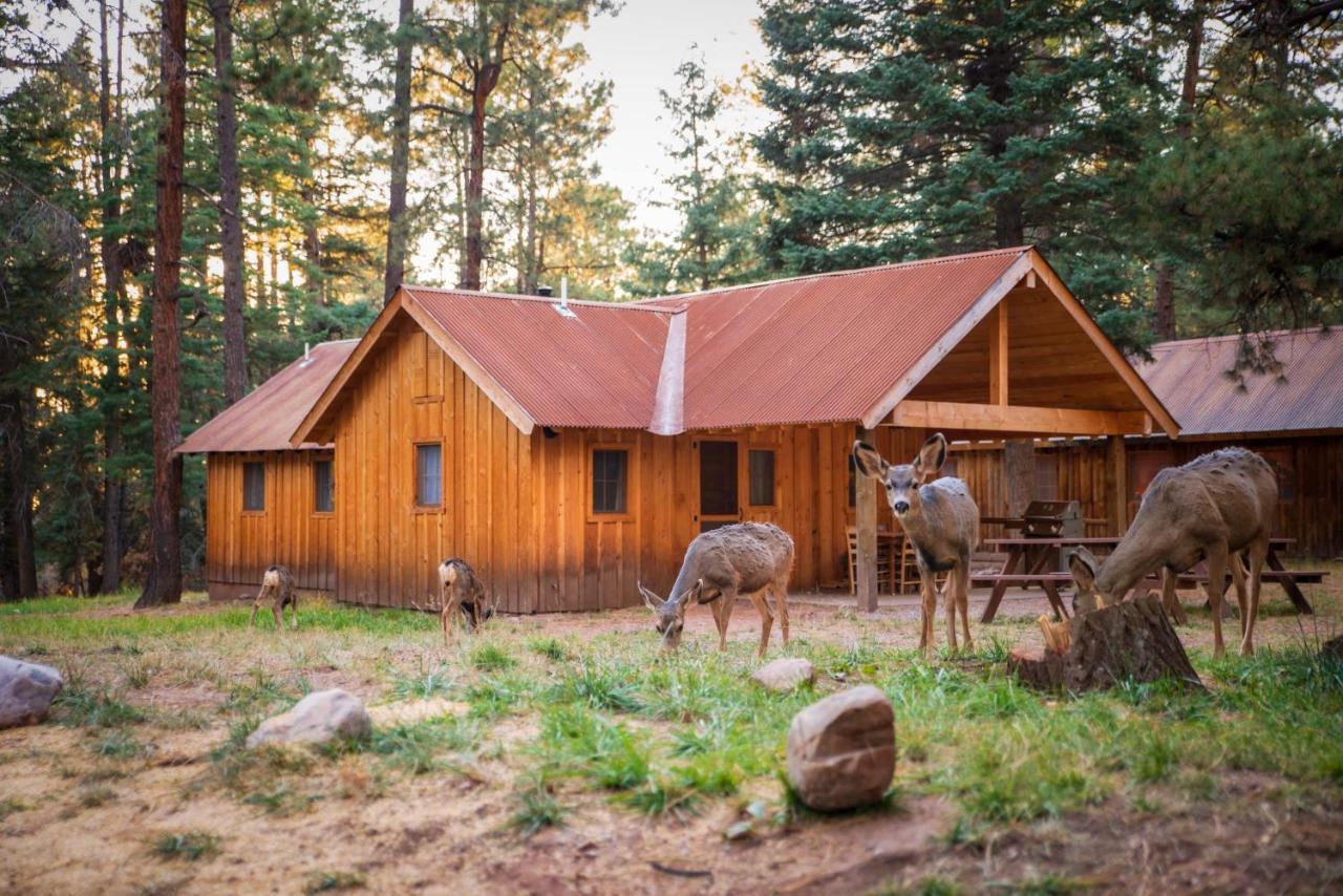 Corkins Lodge Chama Екстер'єр фото